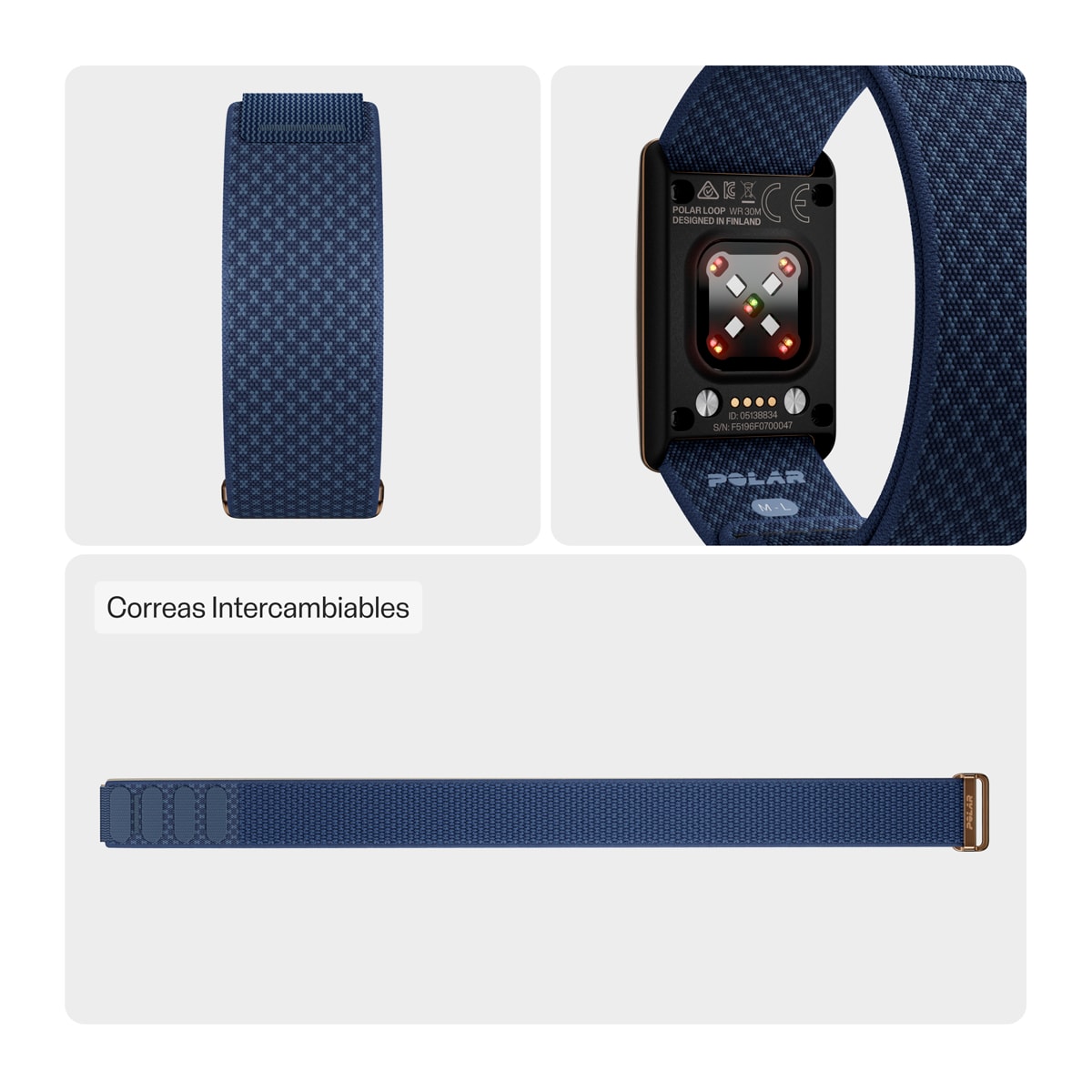 Correia Unissexo para Loop Polar Azul-2