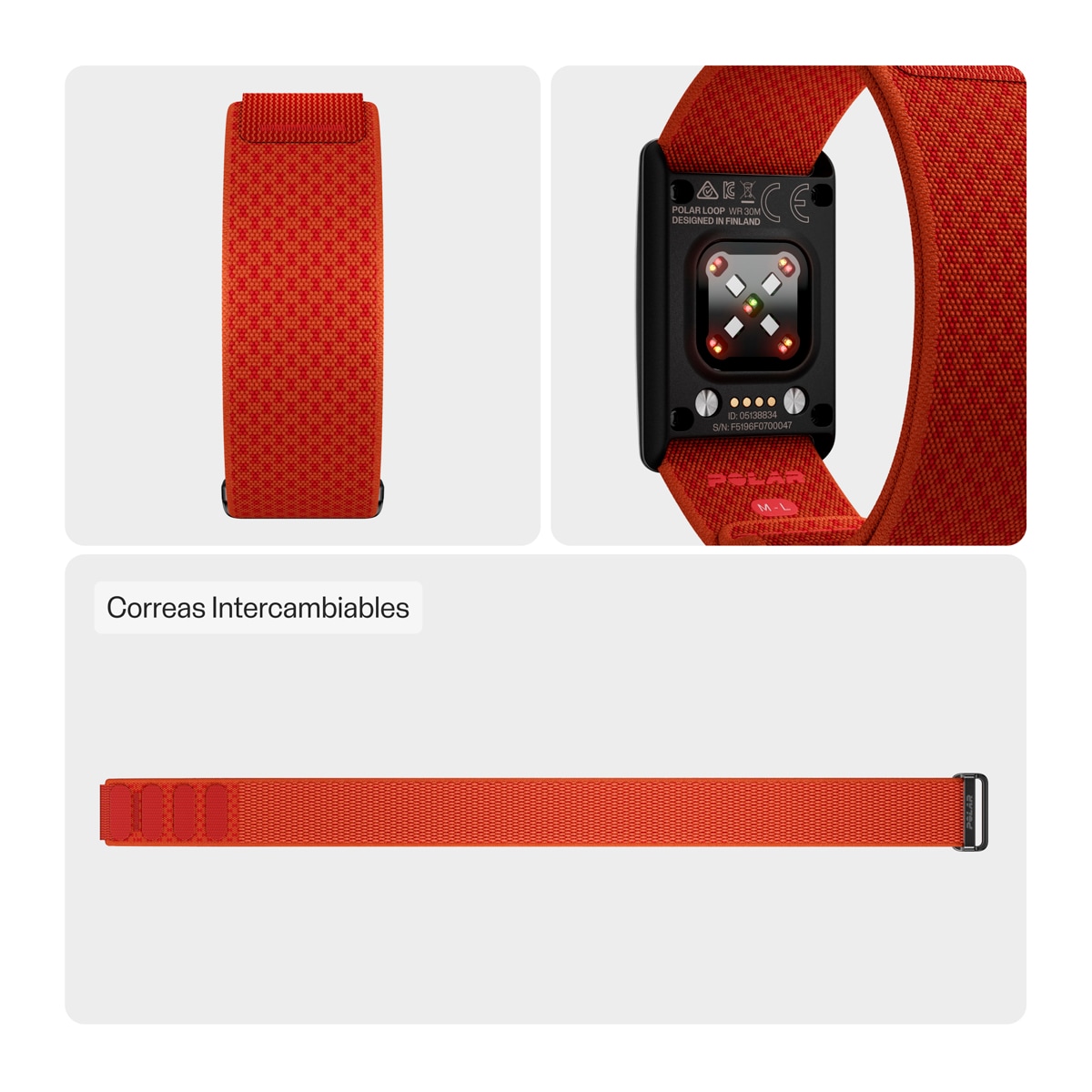 Correia Unissexo para Loop Polar Laranja-2