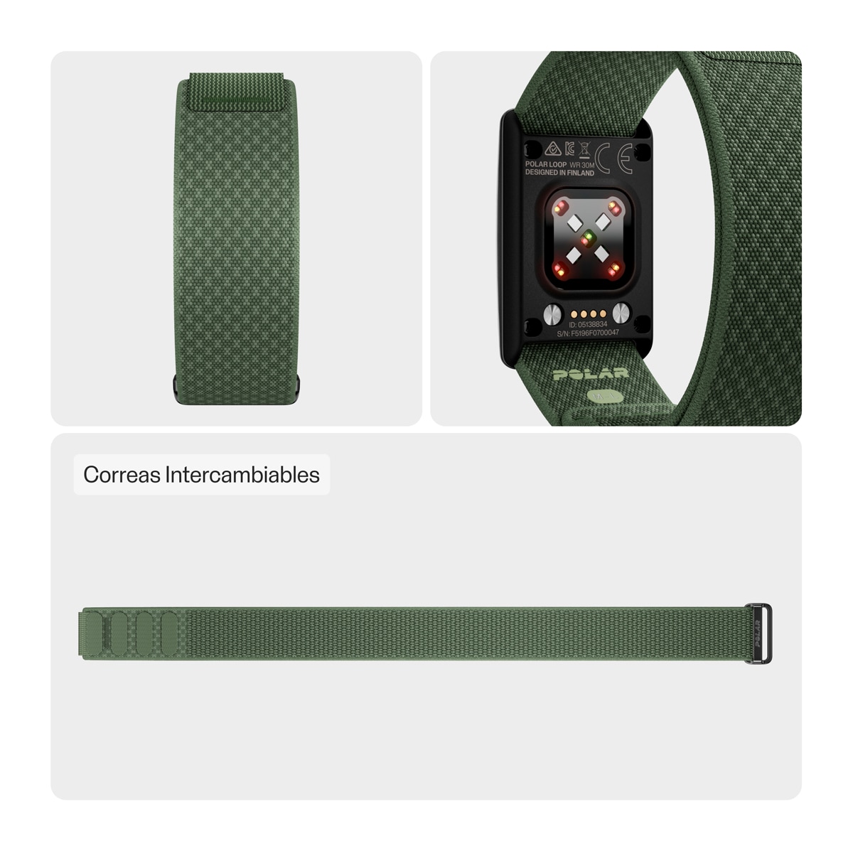 Correia Unissexo para Loop Polar Verde-2