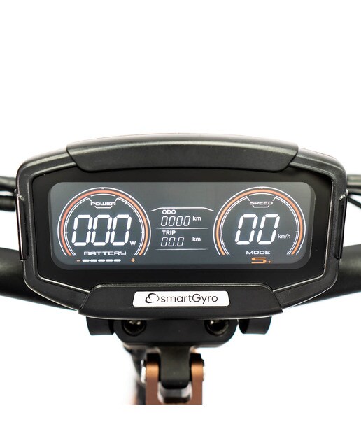 Trotinete Elétrica Ryder Preto-10