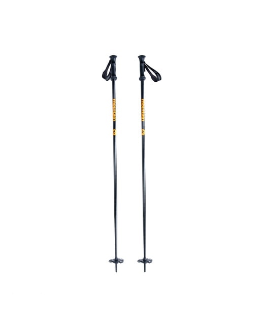 Bastões de Ski Mountain PRO 1