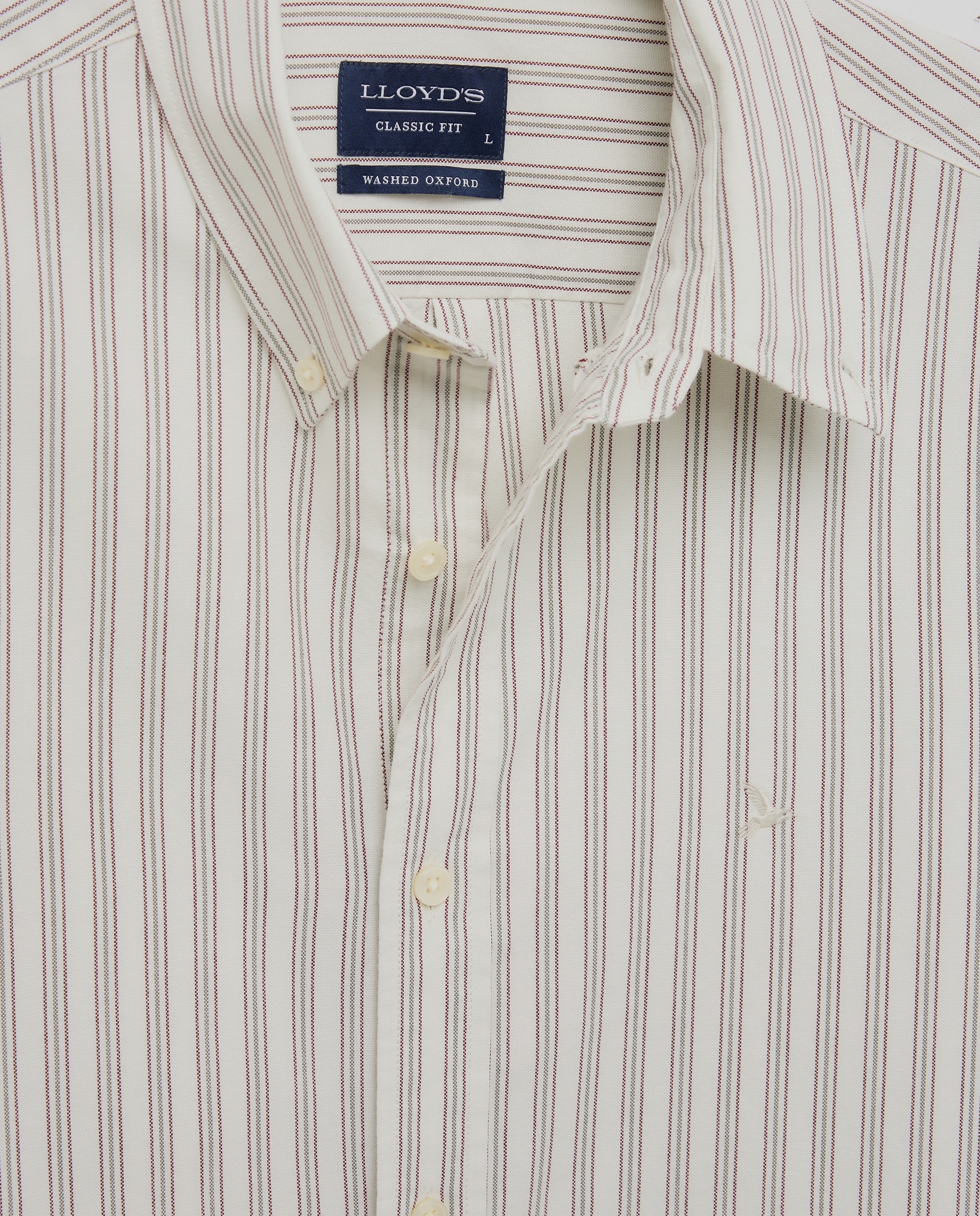 Camisa Oxford Classic Fit Multicolor-5