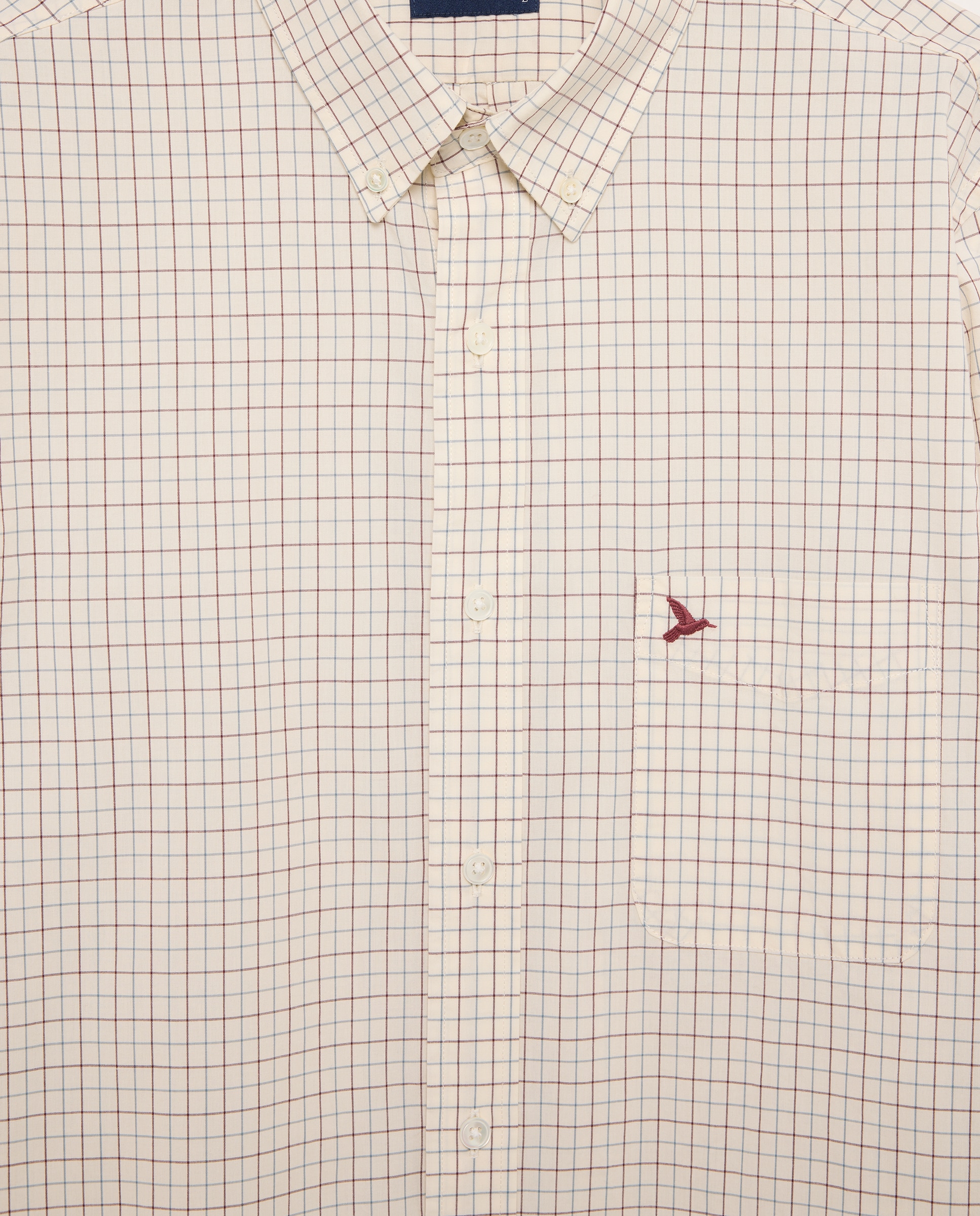 Camisa de hombre popelín de cuadros slim fit - Lloyd's - Azul Azul-5