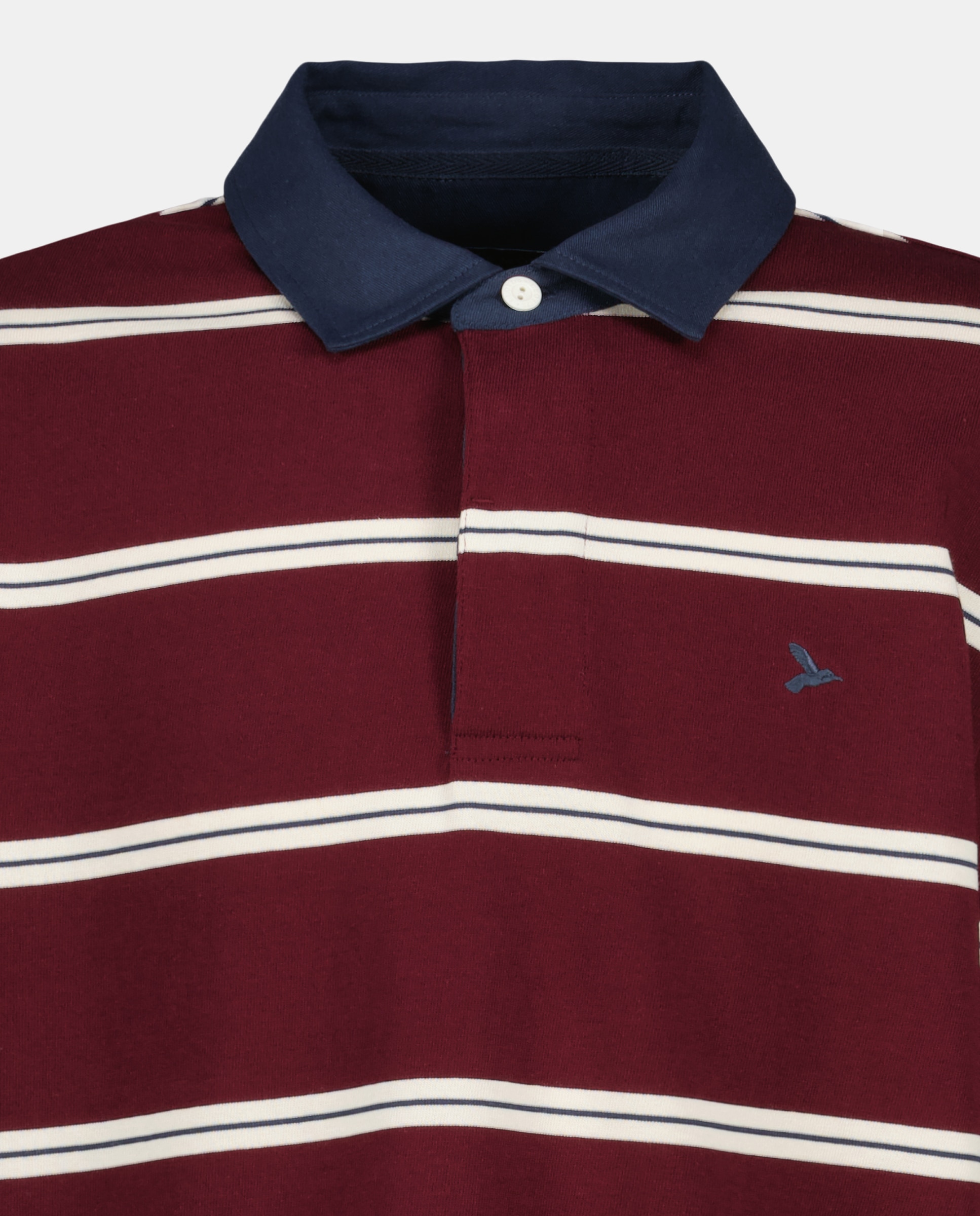 Polo Rugby de Manga Comprida Multicolor-6