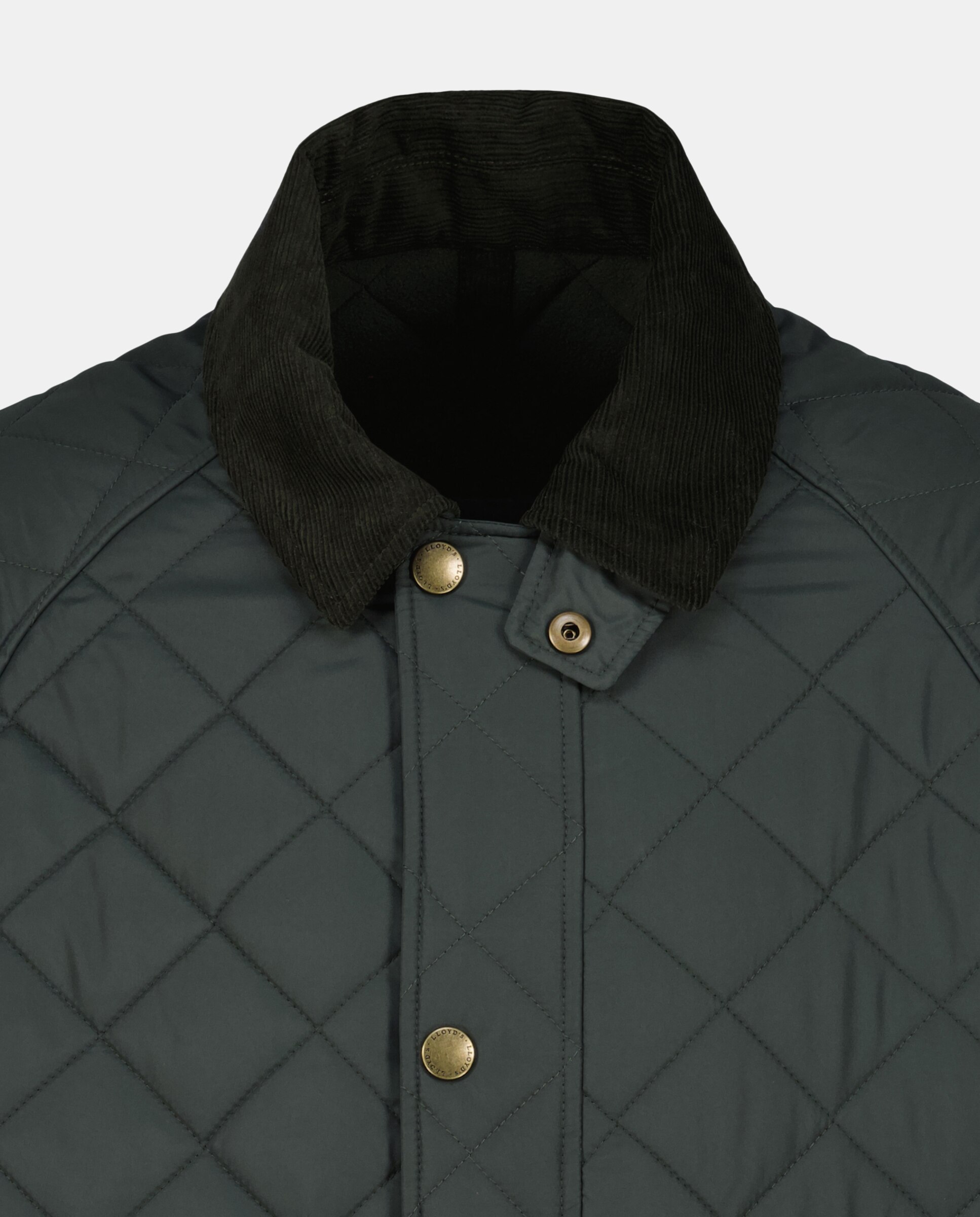 Casaco Acolchoado Tipo Husky Verde-escuro-7