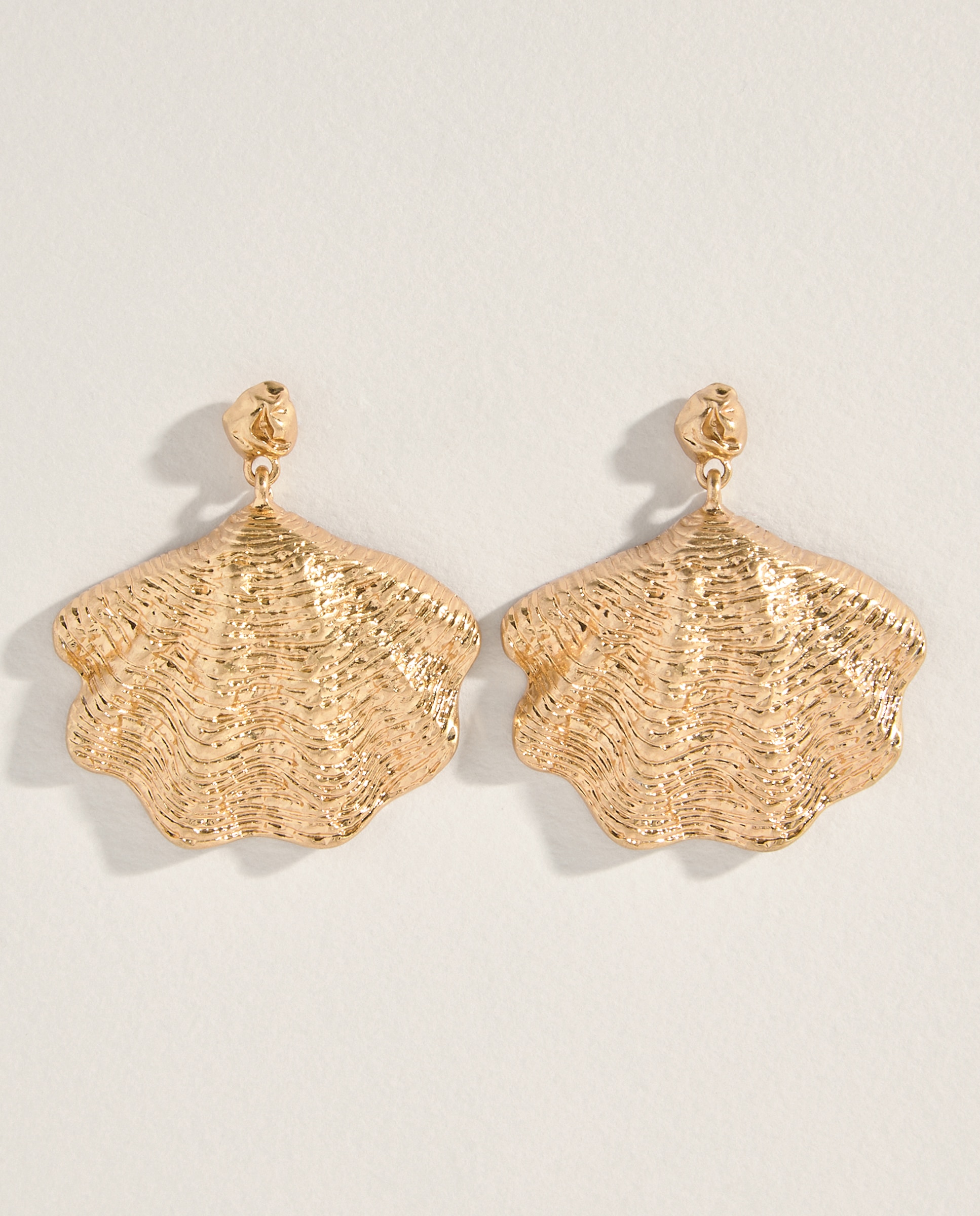 Imagem 0 de Brincos Shell