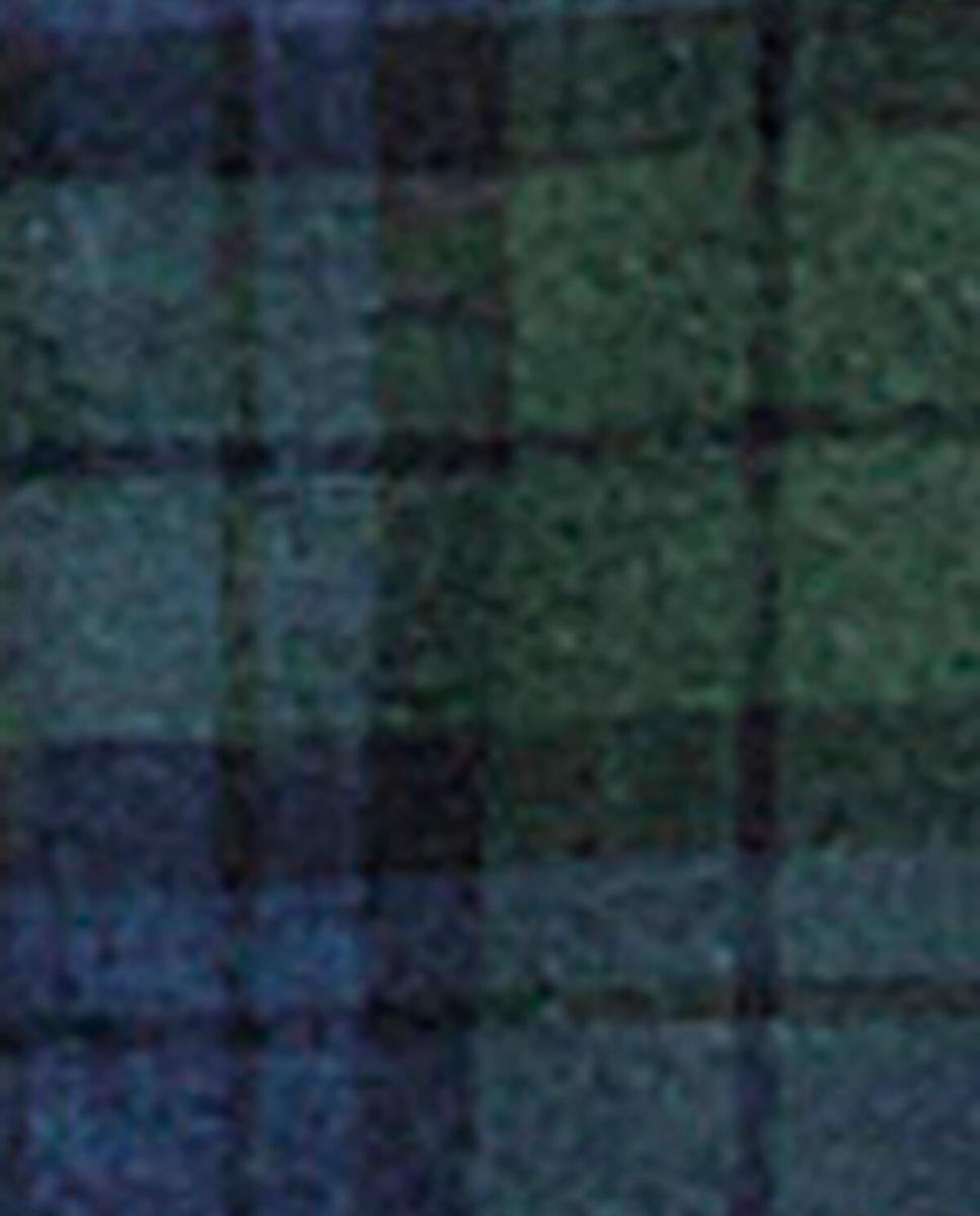 Camisa estampada de hombre cuadro micro - Barbour - Verde Verde-5