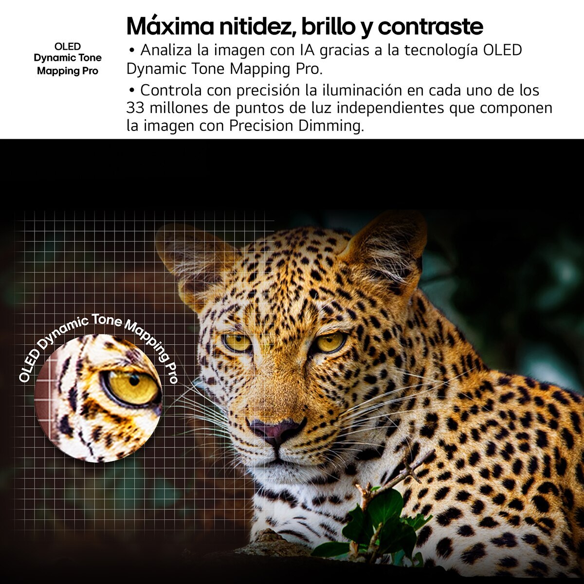 TV OLED evo AI C5 139cm (55") LG OLED55C56LB, Smart TV 4K (Reacondicionado Grado A) - Negro Negro-8