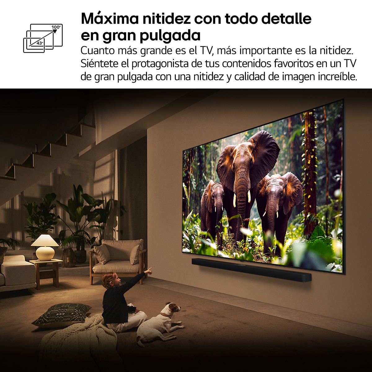 TV QNED evo MiniLED AI 189cm (75") LG 75QNED85A6C, 4K Smart TV (Reacondicionado Grado A) - Negro Negro-15
