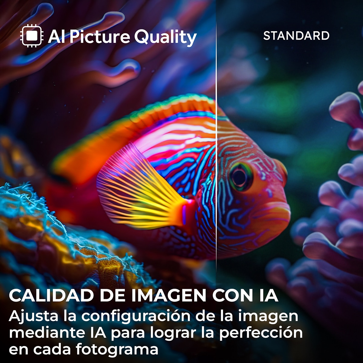 TV QLED 108 cm (43") Haier S80 H43S80GUX 4K UHD, 60Hz, Google TV, HDR10, Dolby Audio, AIPQ (AI Picture Quality) (Reacondicionado Grado A) - Negro Negro-5