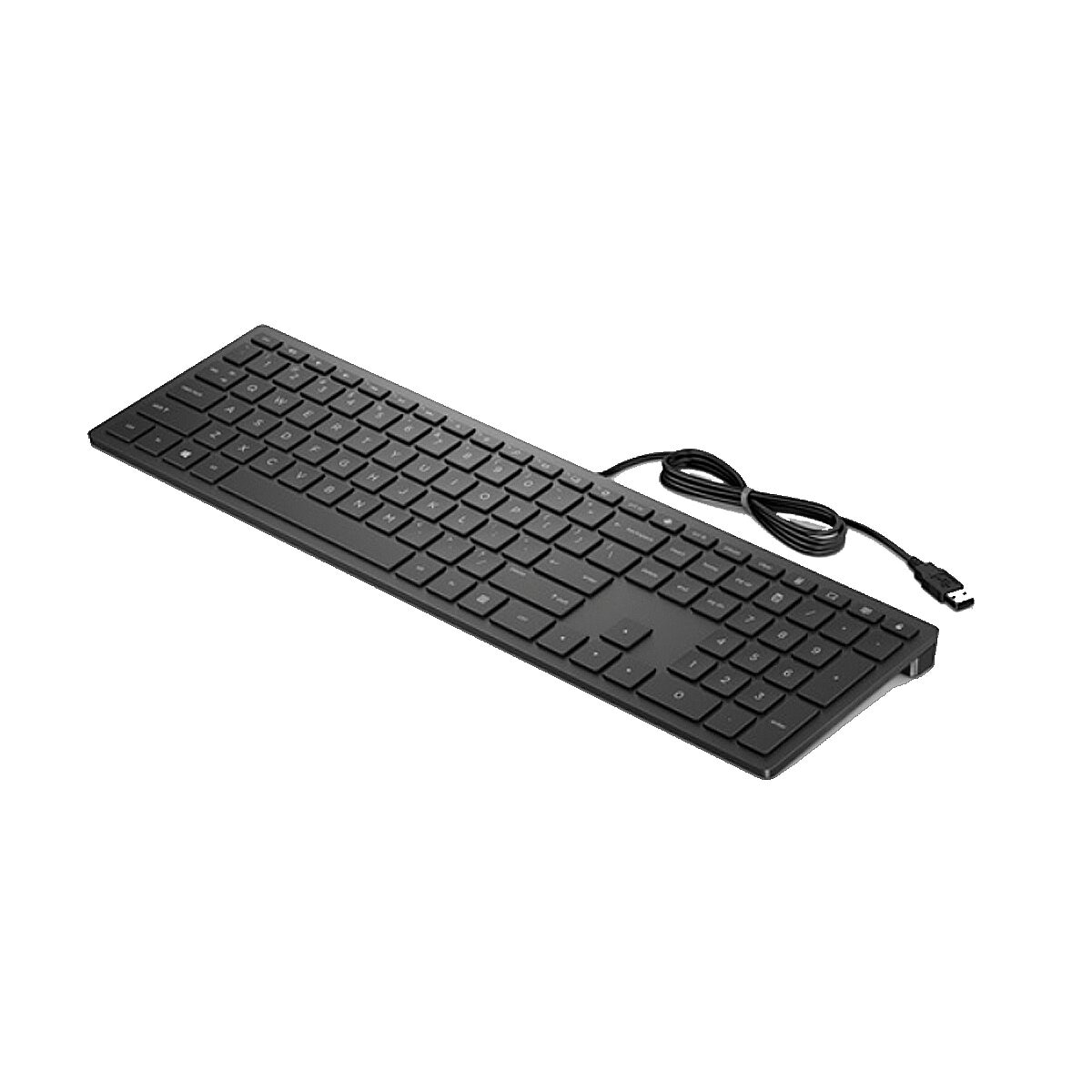 Teclado con cable HP Pavilion 300 - Negro Negro-2