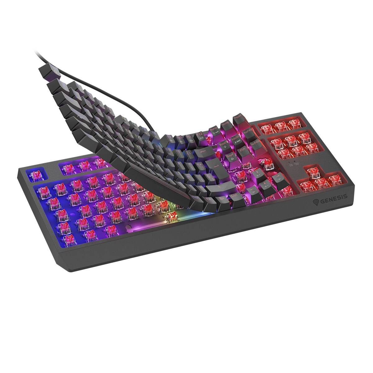 Teclado Gaming Genesis THOR 230 TKL RGB Mecánico Negro-6