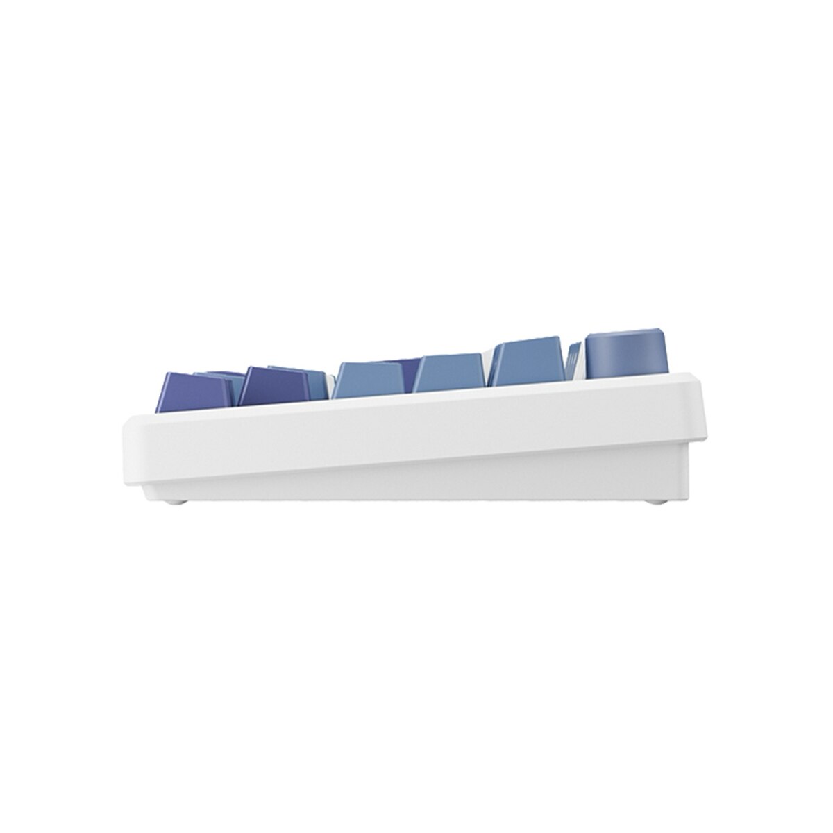 Teclado para Mac y Windows Royal Kludge RKM75 RGB ISO-ES Hot-Swappable Switch Silver Speed Wireless Taro Milk Blanco / Azul-5