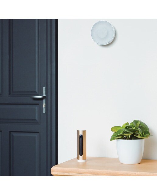 Sistema de alarma con vídeo inteligente Netatmo - Aluminio / Dorado Aluminio / Dorado-3
