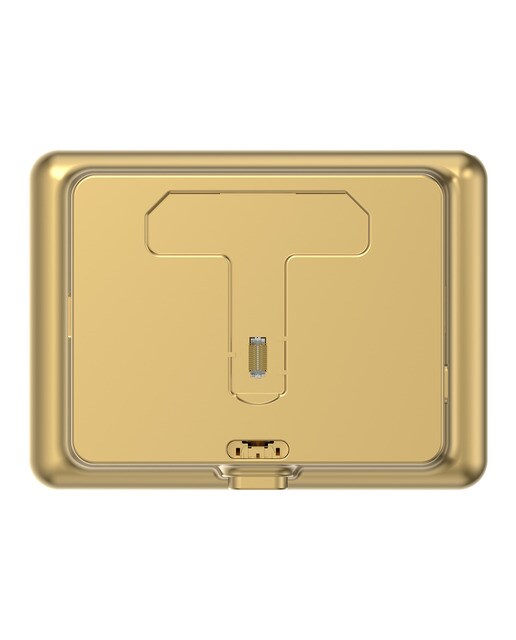 Campainha Digital Ezviz DP2C Dourado-7