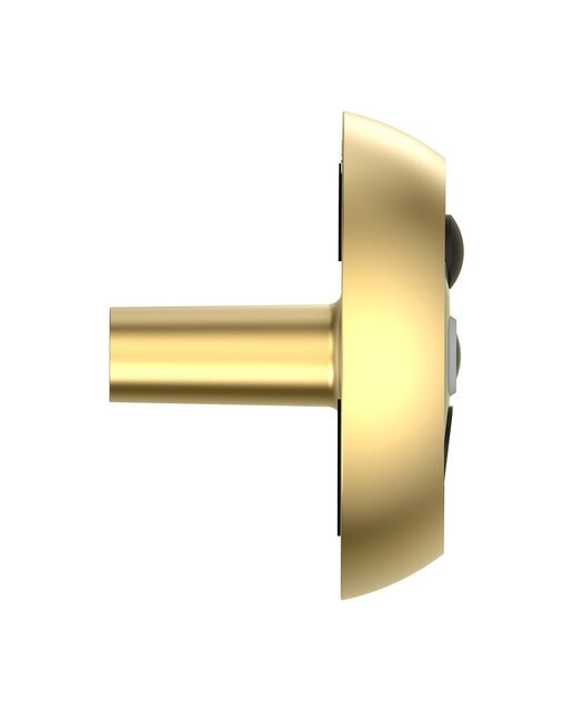 Campainha Digital Ezviz DP2C Dourado-9