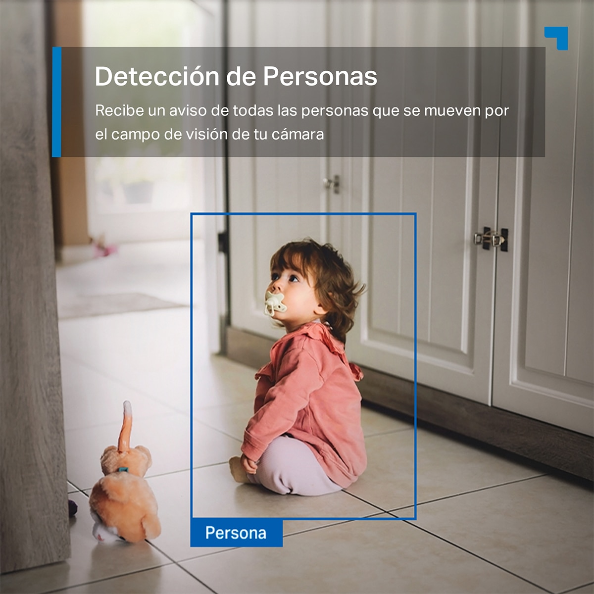 Cámara de vigilancia 360º Tapo C216, para Interior o Exterior 7