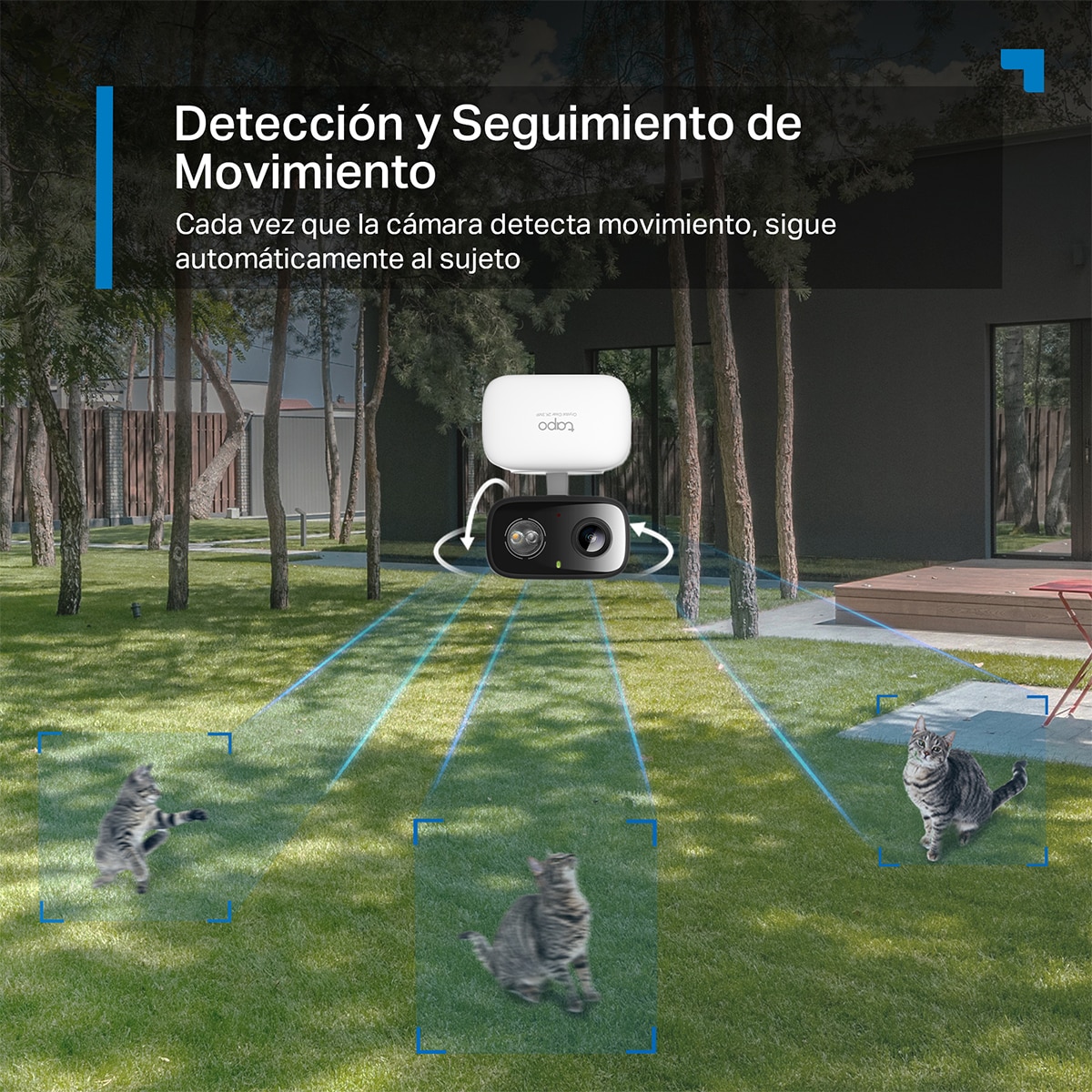 Cámara de vigilancia 360º Tapo C216, para Interior o Exterior 10