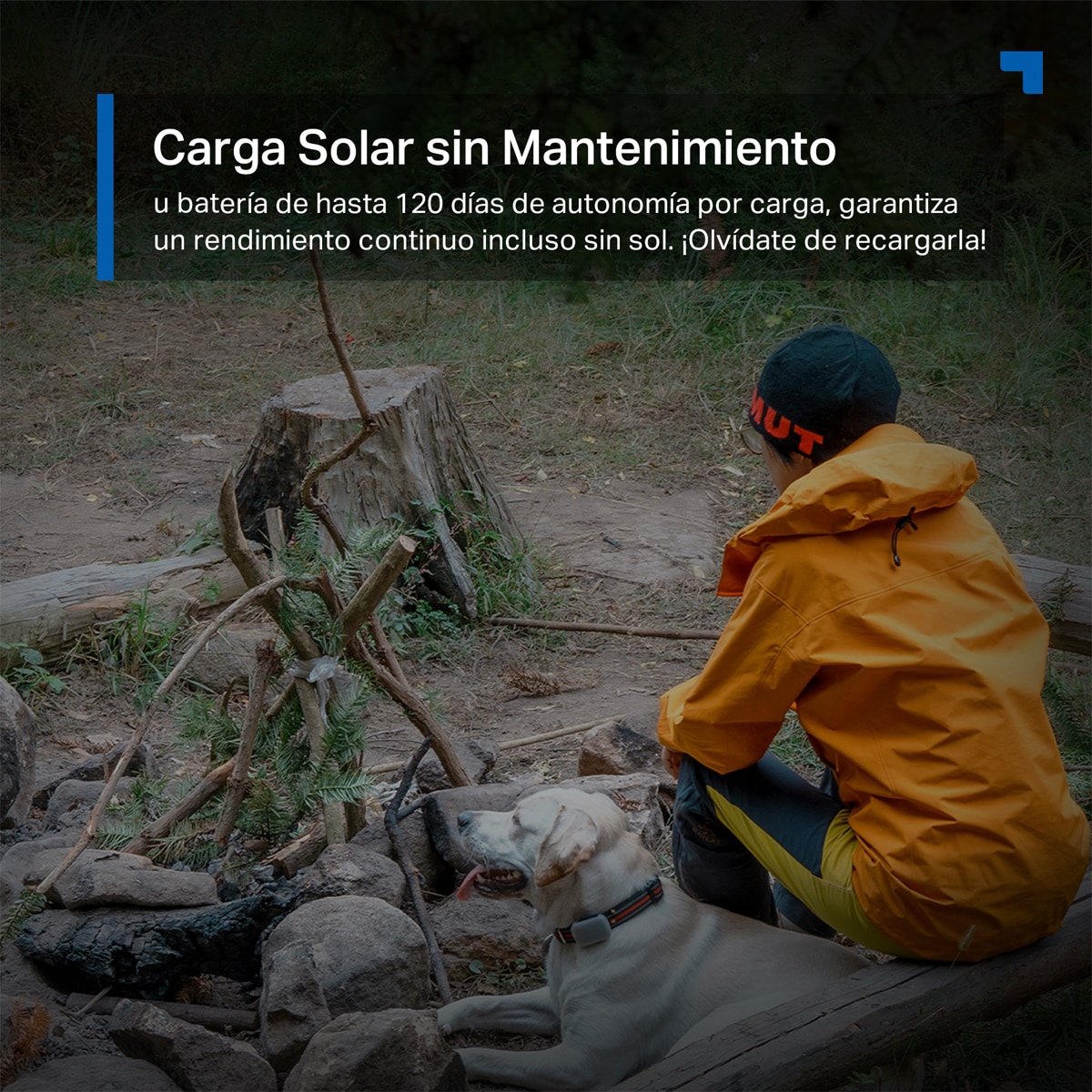 Cámara de vigilancia para exterior con Panel Solar y Batería Tapo C615G Kit, 2K, 360º, Detección IA, Visión Nocturna a Color, Alarma de Luz y Sonido 7