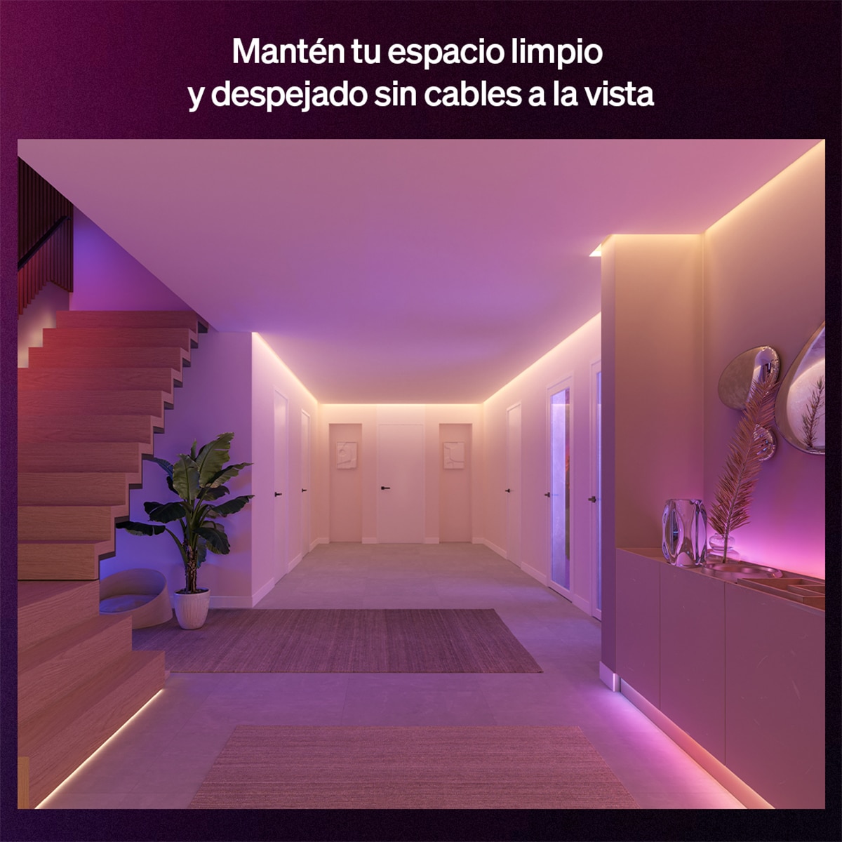 Extensión Tira LED Philips Hue Flux 2 metros 3