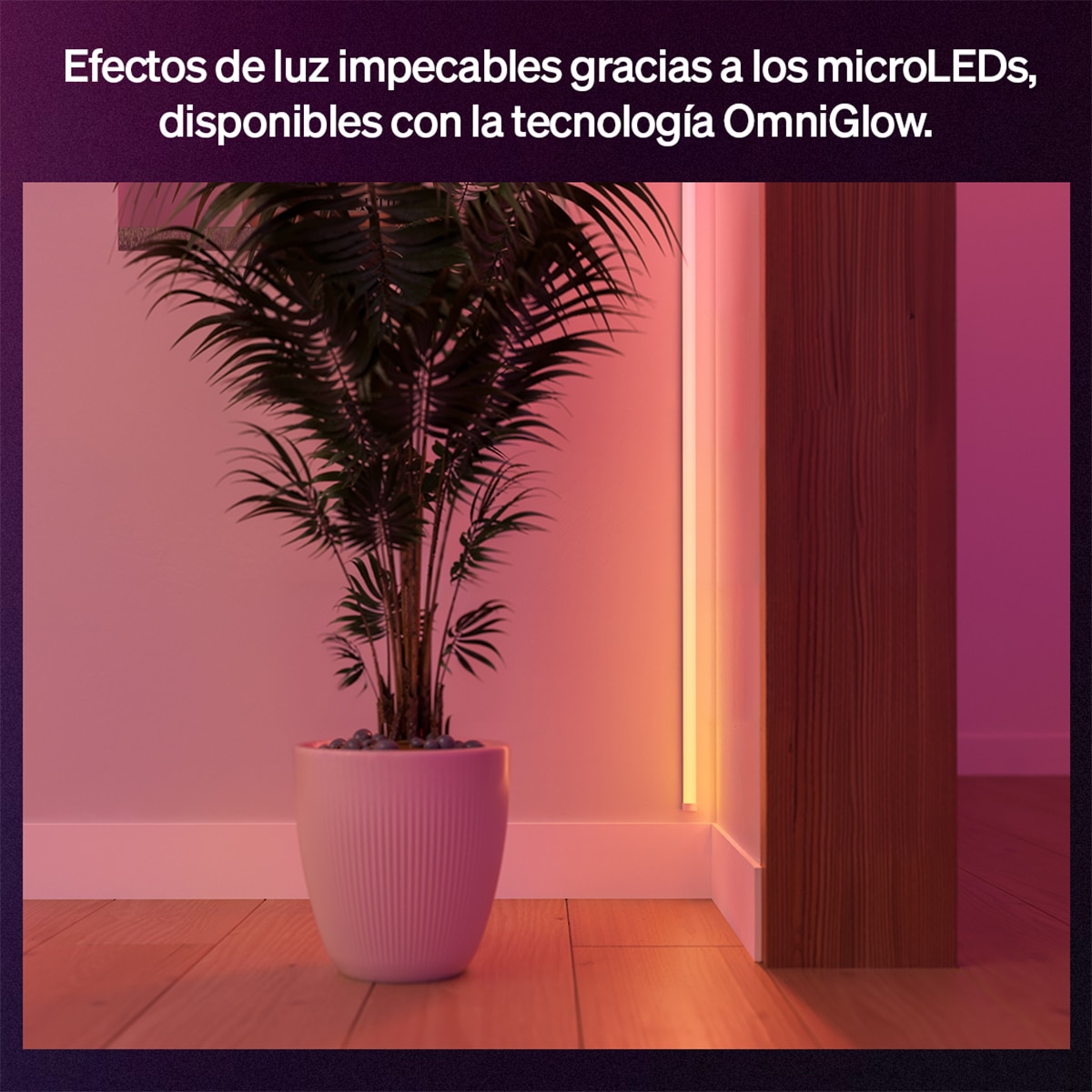 Tira LED Philips Hue OmniGlow 3 metros 2