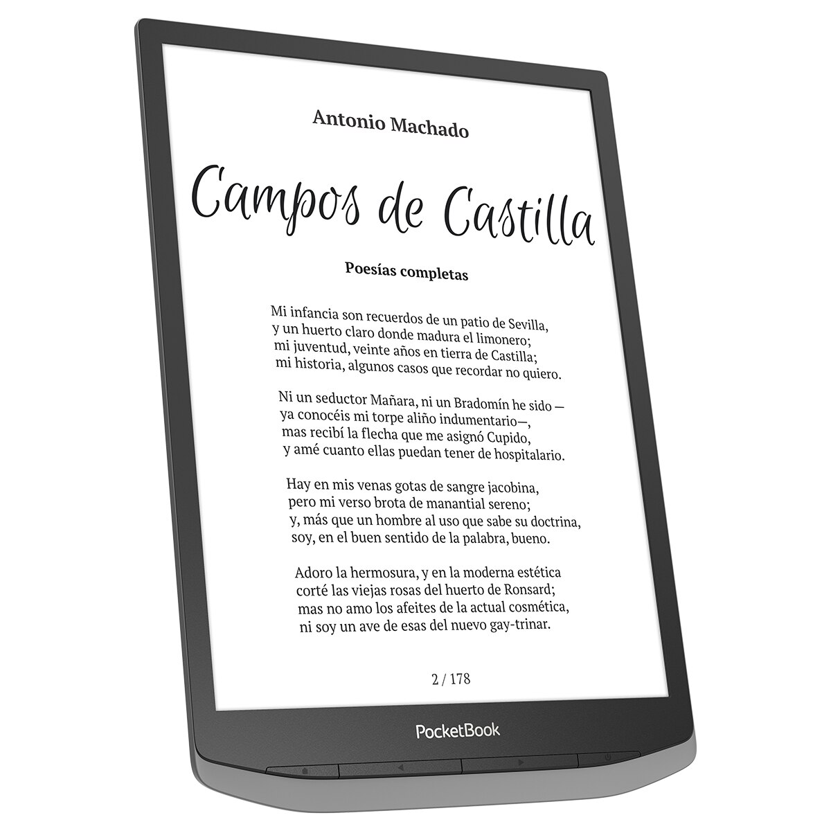 e-Reader InkPad X Pro Gris, 10,3" E-ink Mobius Gris-5