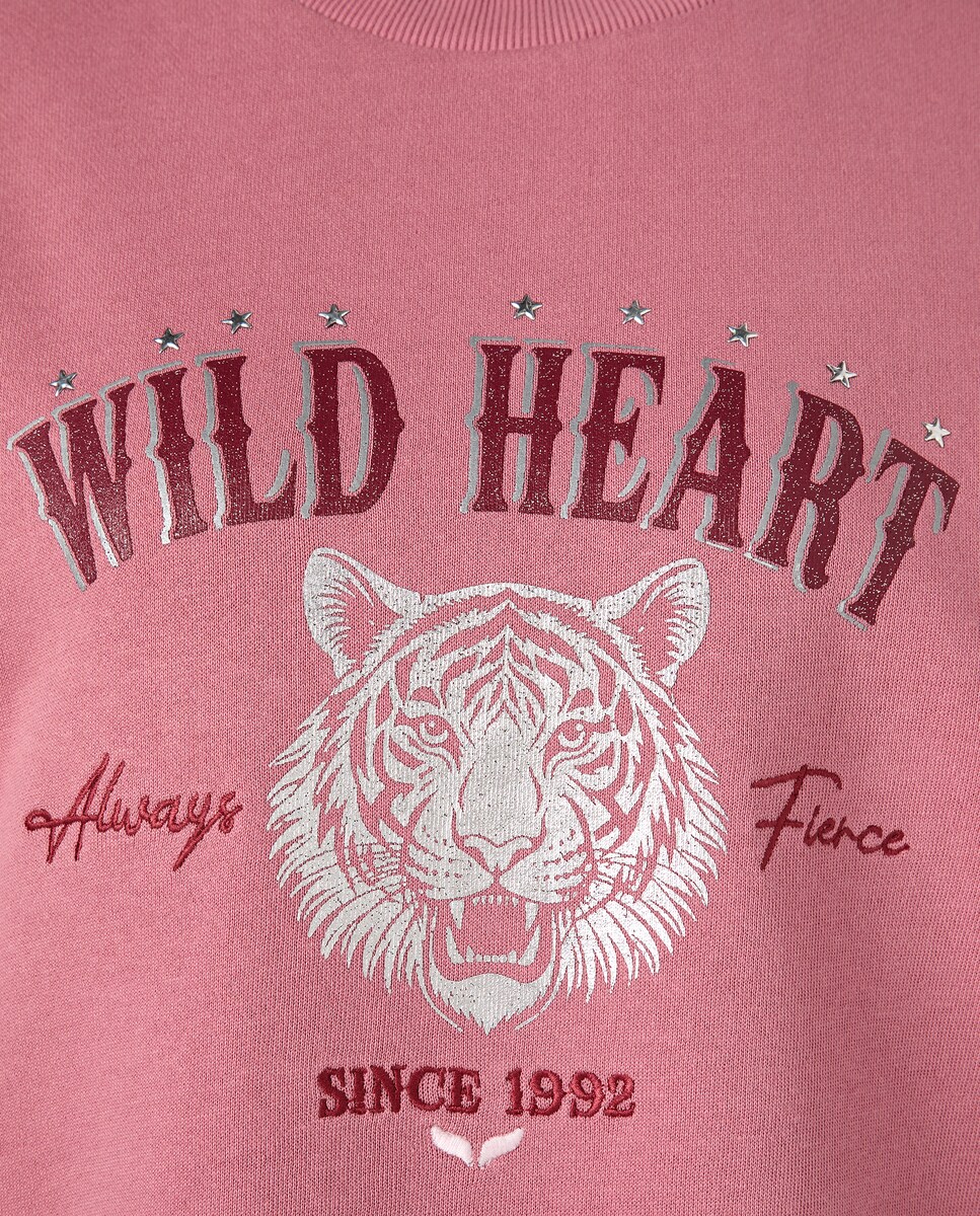 Sweatshirt com decote redondo Ameixa-5