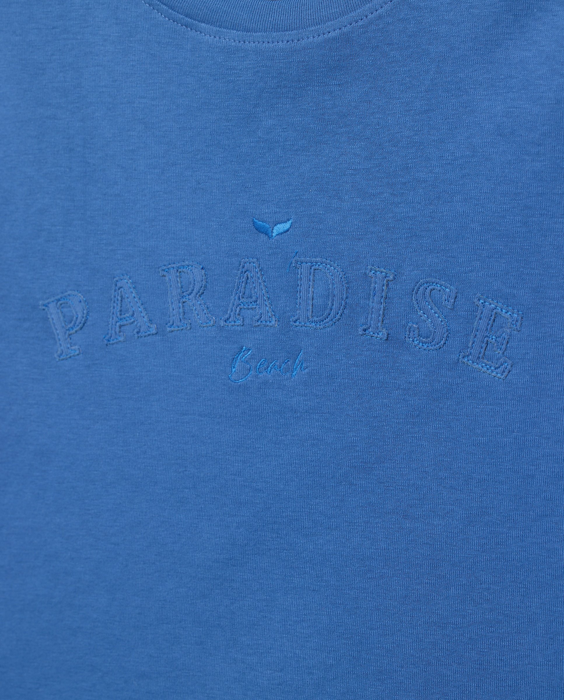 T-shirt de Manga Curta Lisa Azul pálido-5