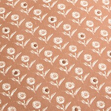 Terracota