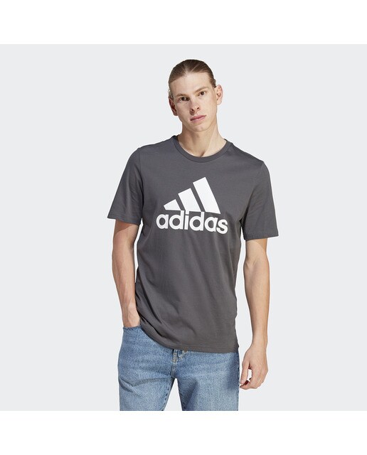 T-shirt de Homem Essentials Single Jersey Cinzento-1