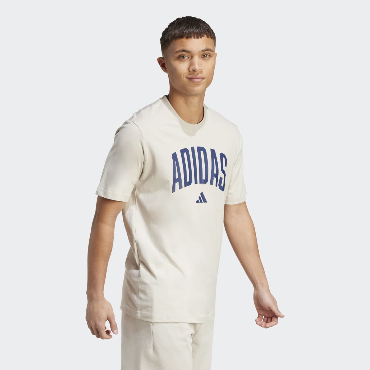 T-shirt de Homem Collegiate Lineage Bege-3