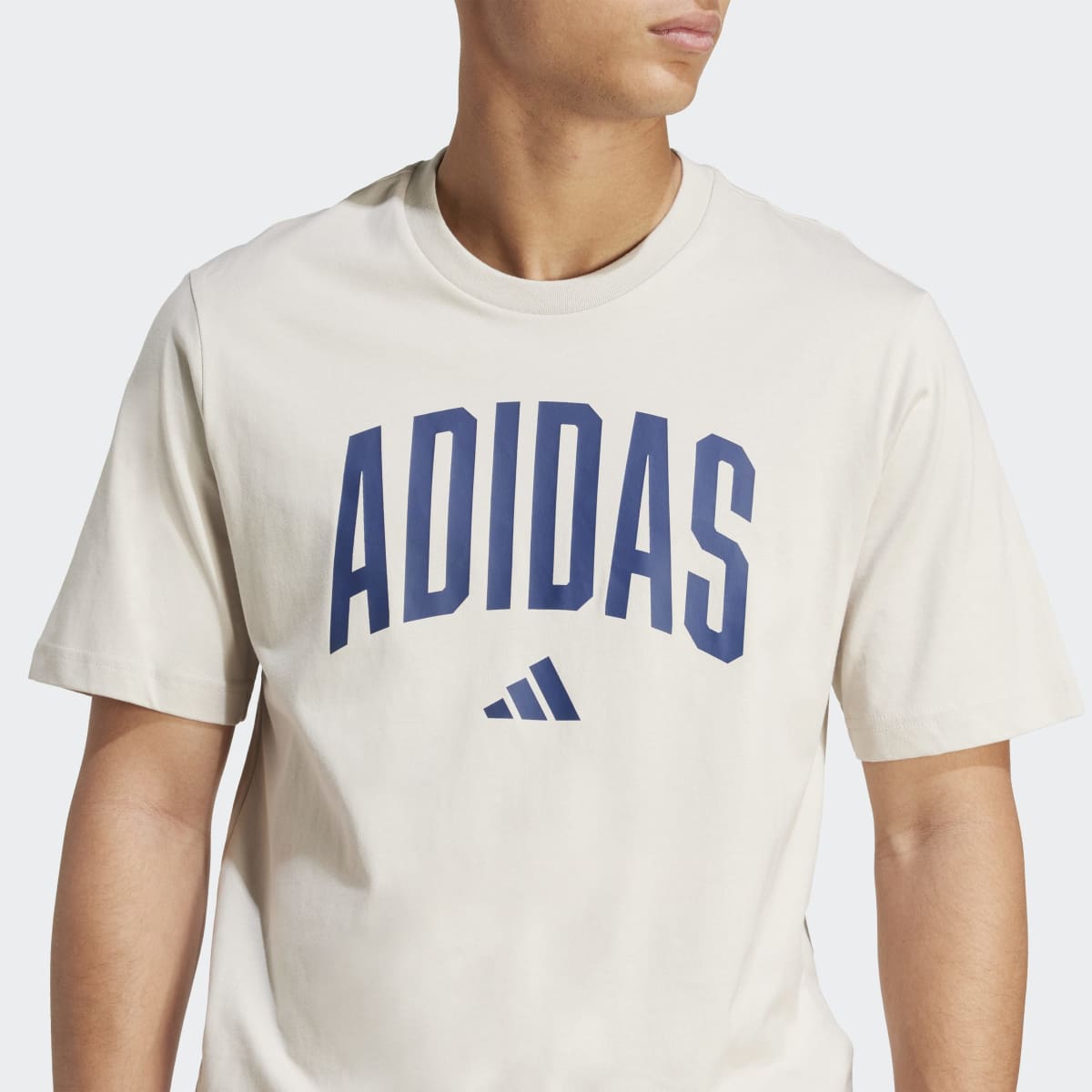 T-shirt de Homem Collegiate Lineage Bege-4