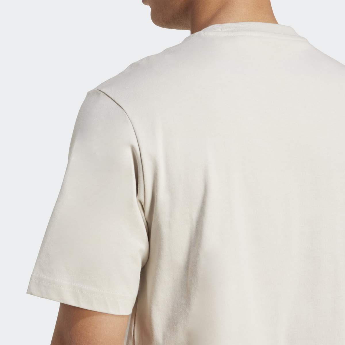 T-shirt de Homem Collegiate Lineage Bege-5