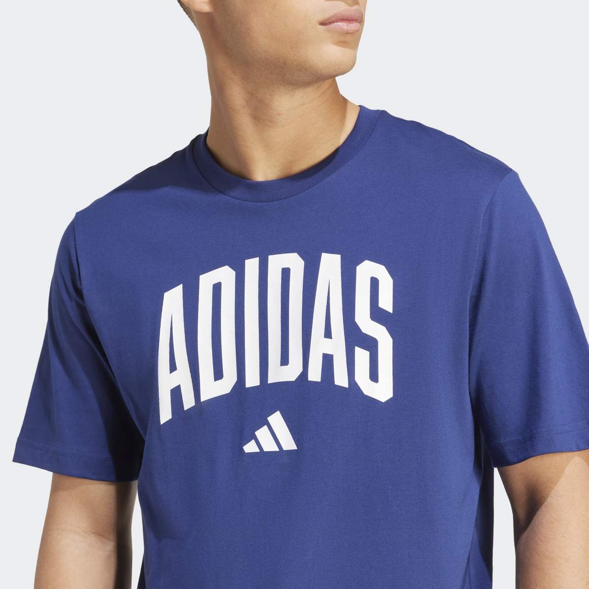 T-shirt de Homem Collegiate Lineage Azul-4