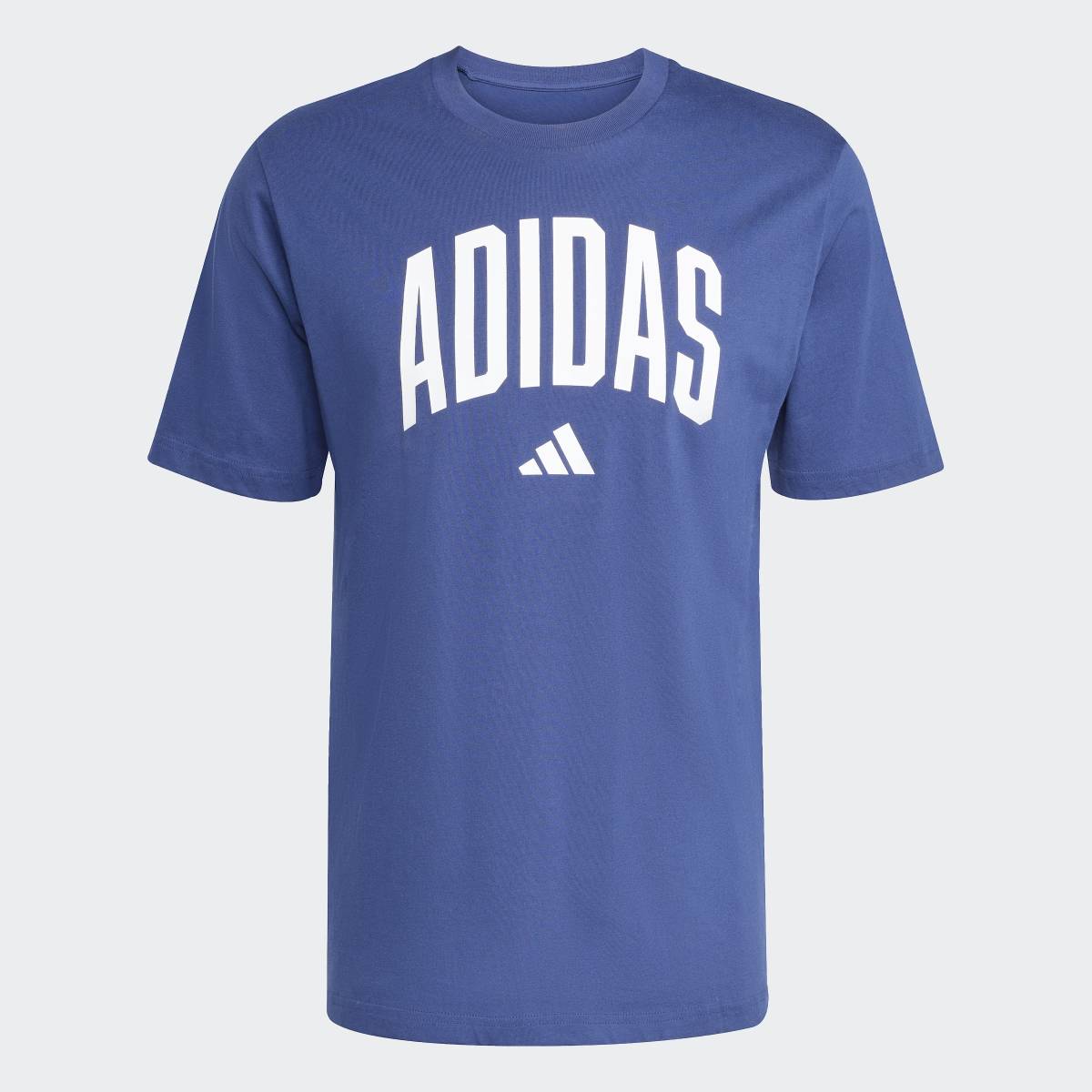 T-shirt de Homem Collegiate Lineage Azul-6