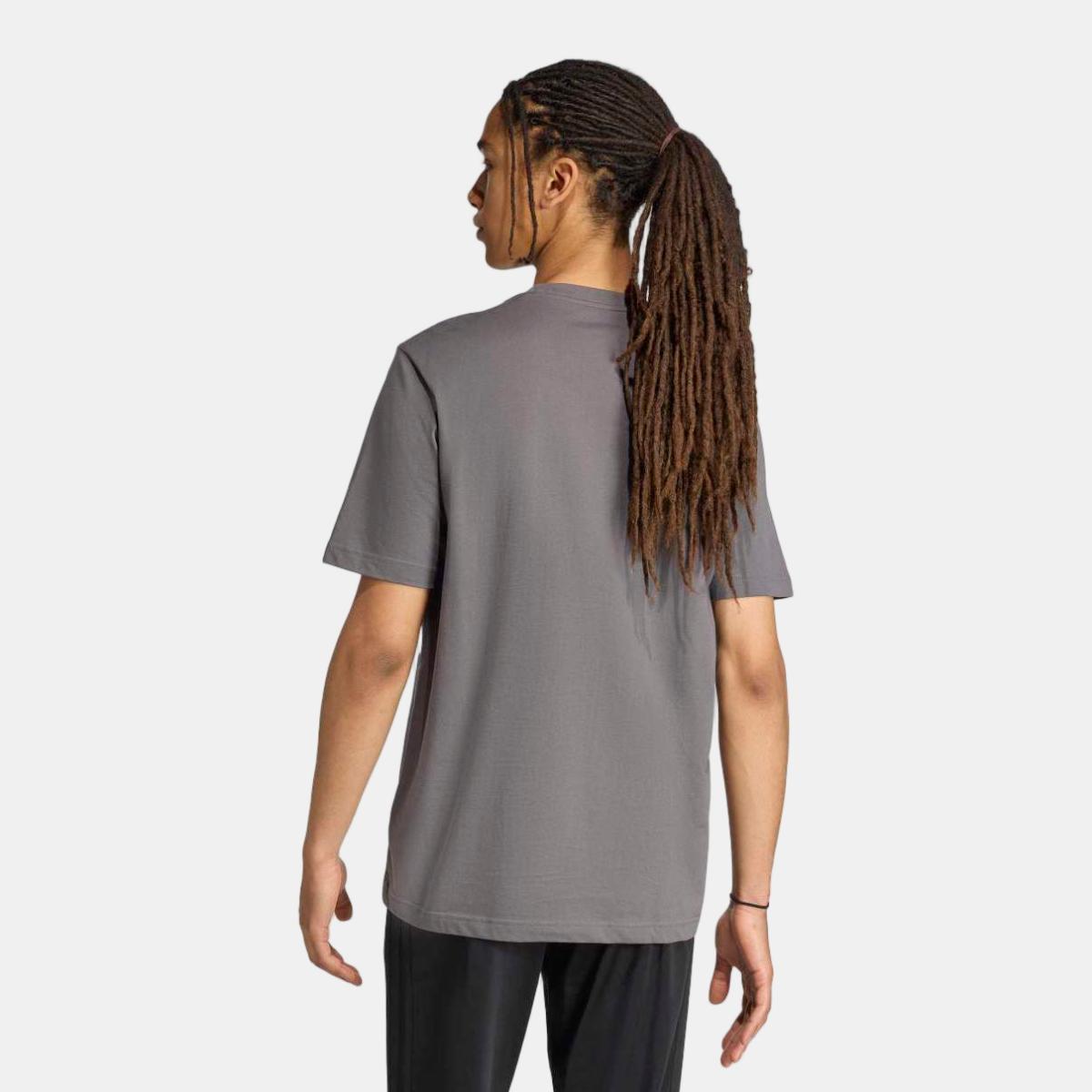 T-shirt de Homem House of Tiro Linear Cinzento-2