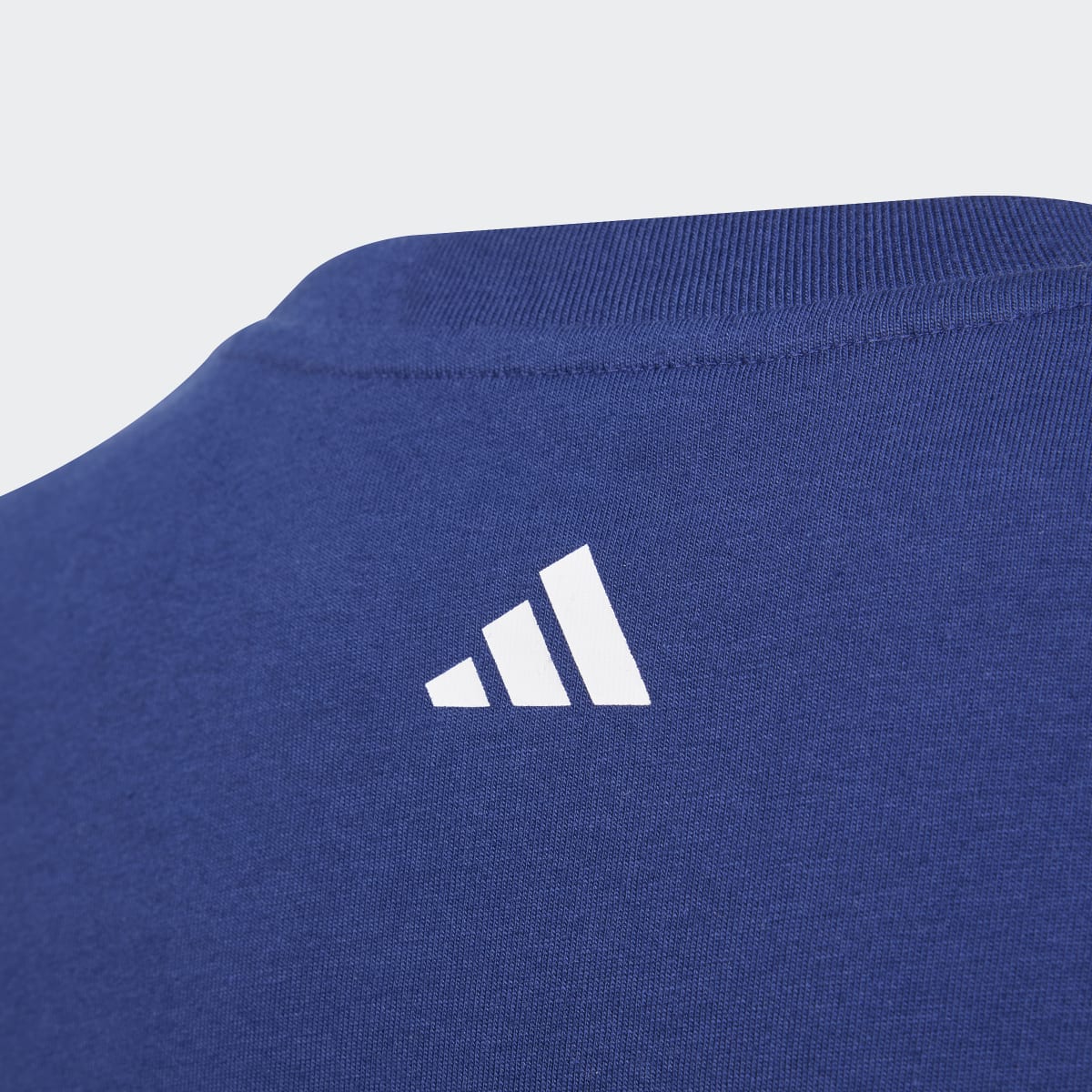 T-shirt de Criança Codes Collegiate Graphic Azul-5