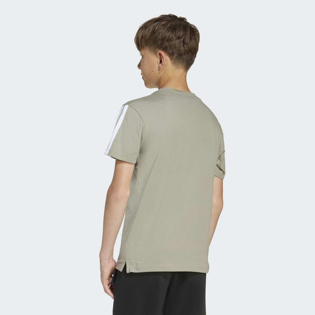 T-shirt de Criança Seasonal Essentials Tiberio 3 Faixas Verde-3
