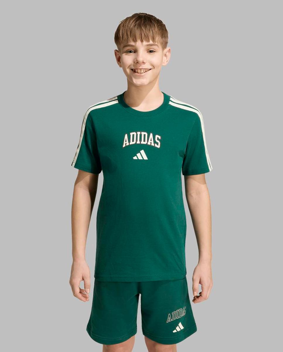 T-shirt de Criança Seasonals Collegiate Verde-3