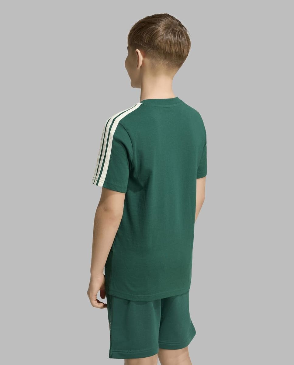 T-shirt de Criança Seasonals Collegiate Verde-4