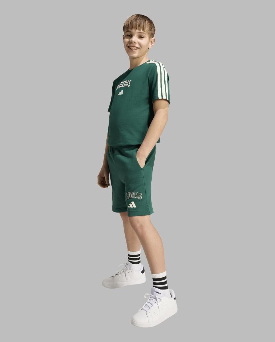 T-shirt de Criança Seasonals Collegiate Verde-5