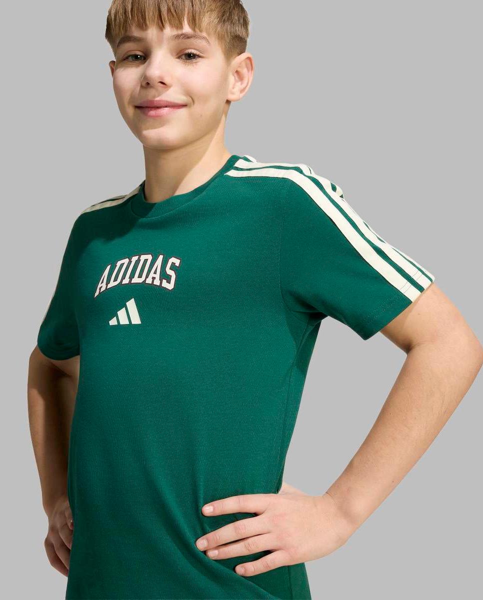 T-shirt de Criança Seasonals Collegiate Verde-6