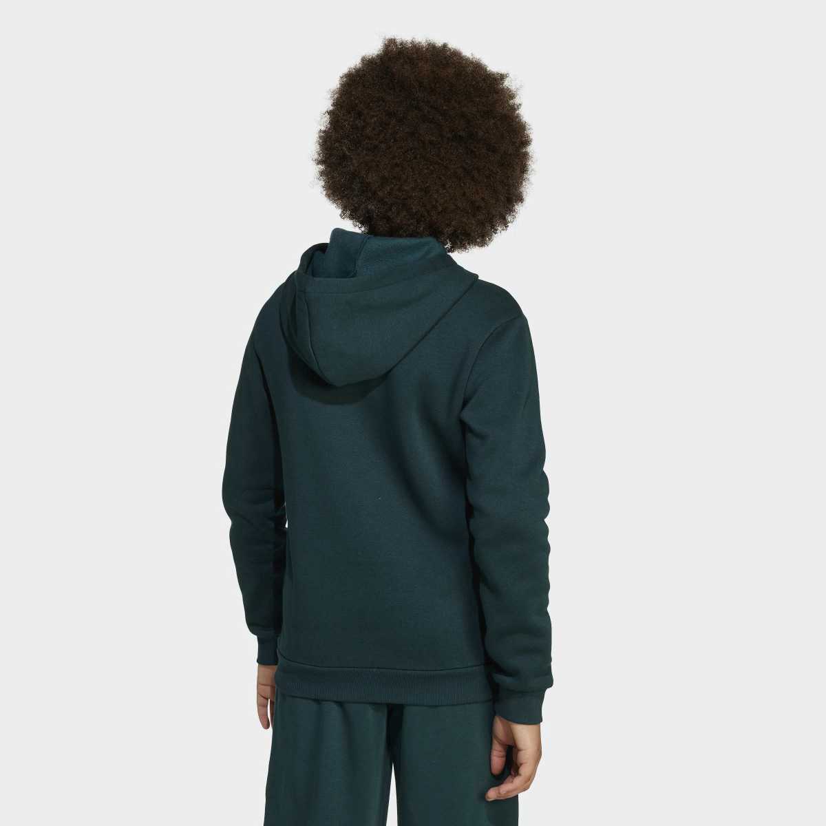Sweatshirt de Criança Seasonals Essentials Collegiate Typography Verde-2