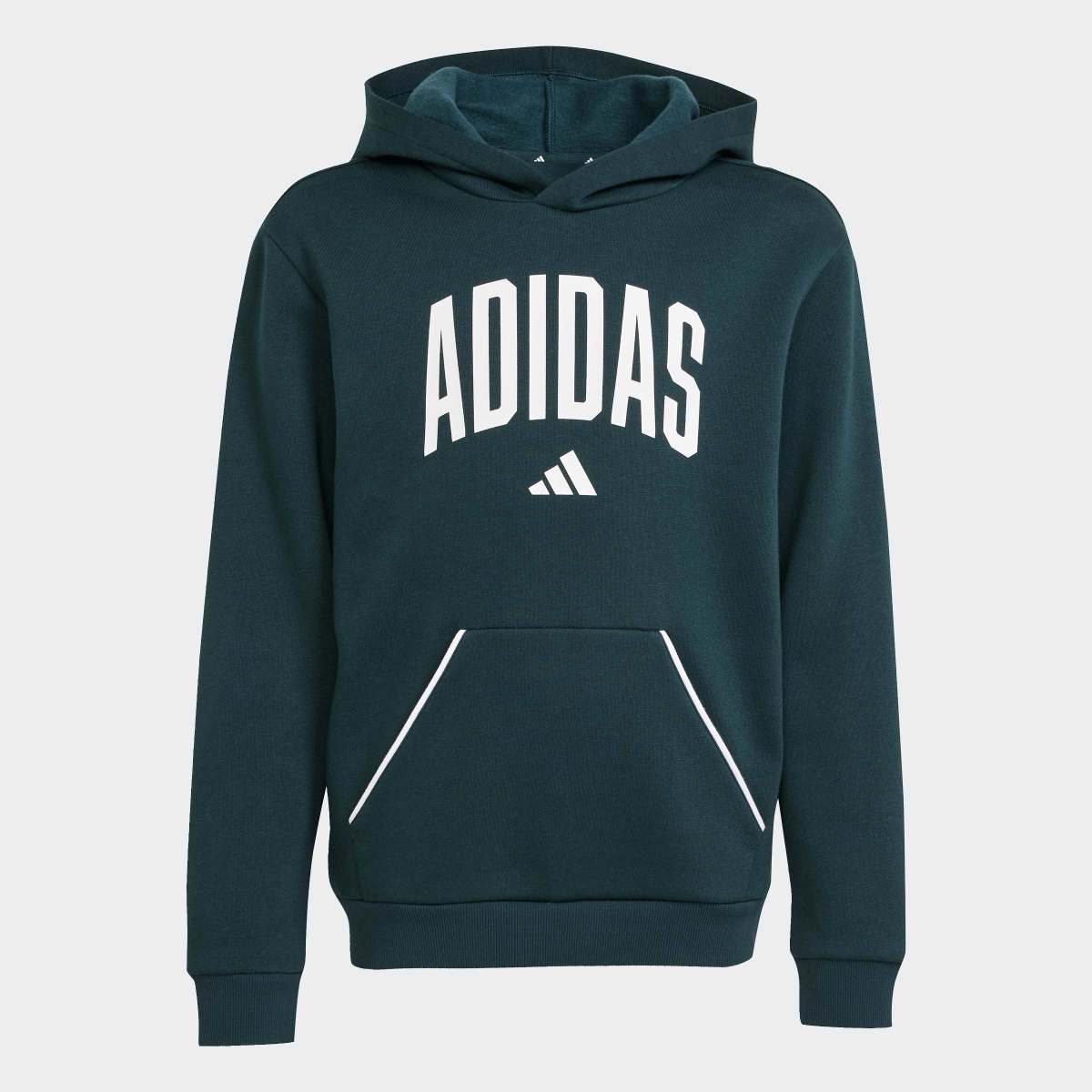 Sweatshirt de Criança Seasonals Essentials Collegiate Typography Verde-8