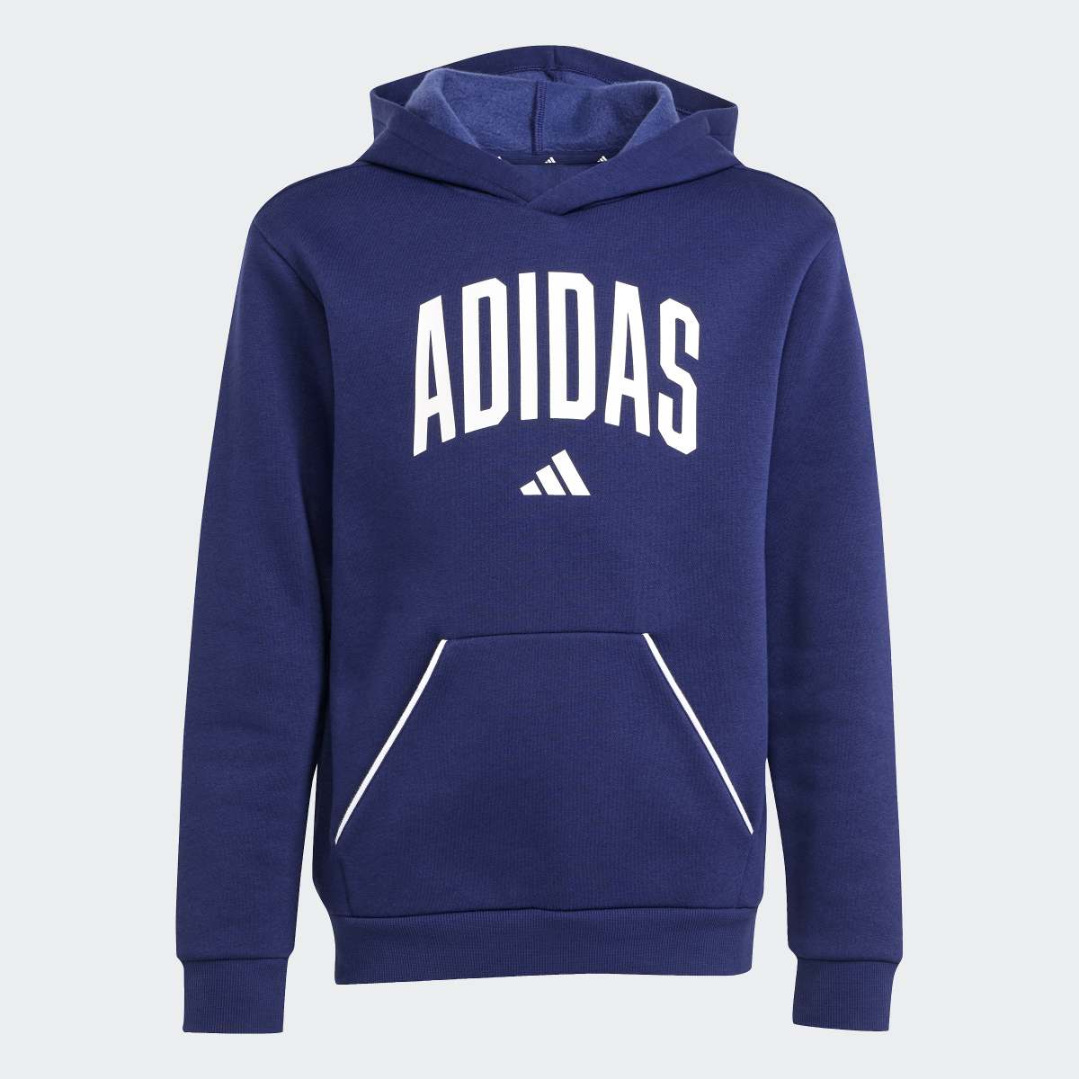 Sweatshirt de Criança Seasonals Essentials Collegiate Typography Azul-8