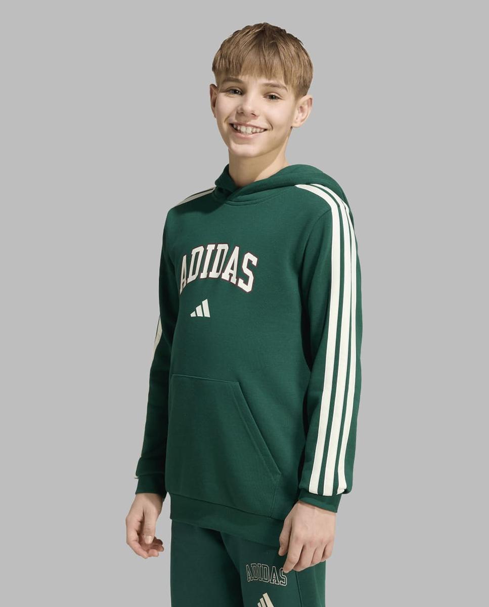 Sweatshirt de Criança Seasonals Collegiate Verde-3