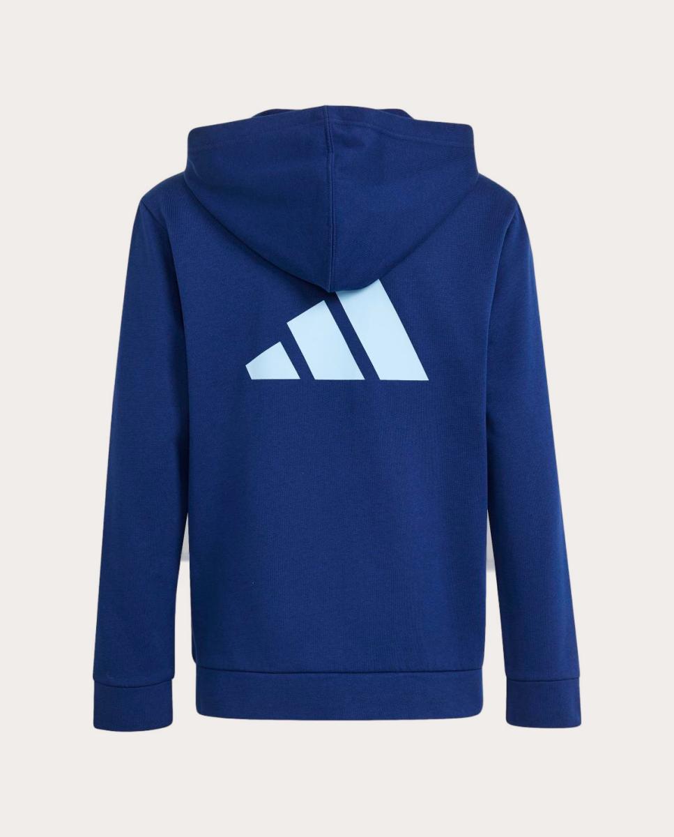 Sweatshirt de Criança Seasonals Colorblock Azul-2