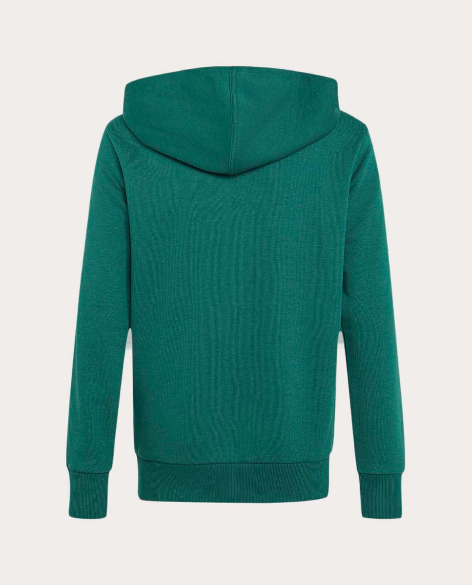 Sweatshirt de criança Essentials Verde-2