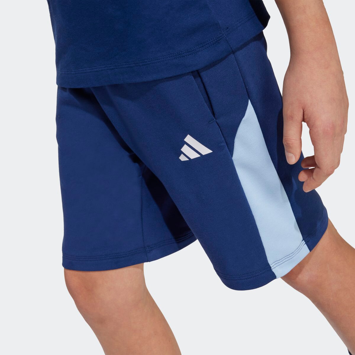 Calções de Criança Seasonal Essentials Colorblock Azul-4