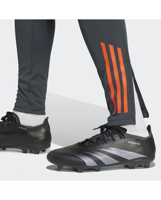 Calças de Homem SL Benfica 2024/2025 Tiro24 Training Pant Cinzento-5